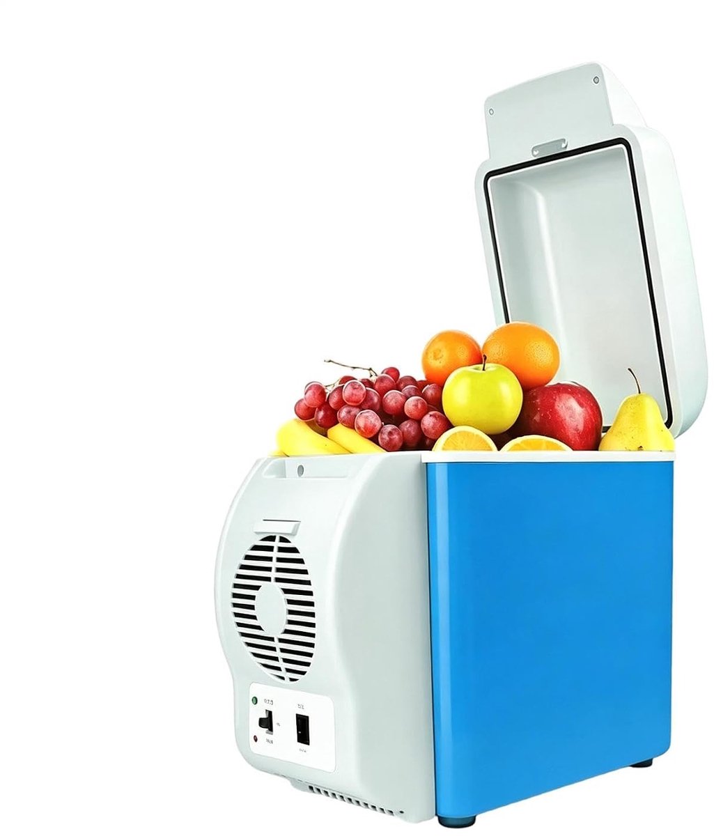 Elektrische Koelbox - Draagbare Koeler - Buiten Reizen - 12/24V Werking - 31 Centimeter - Uniek