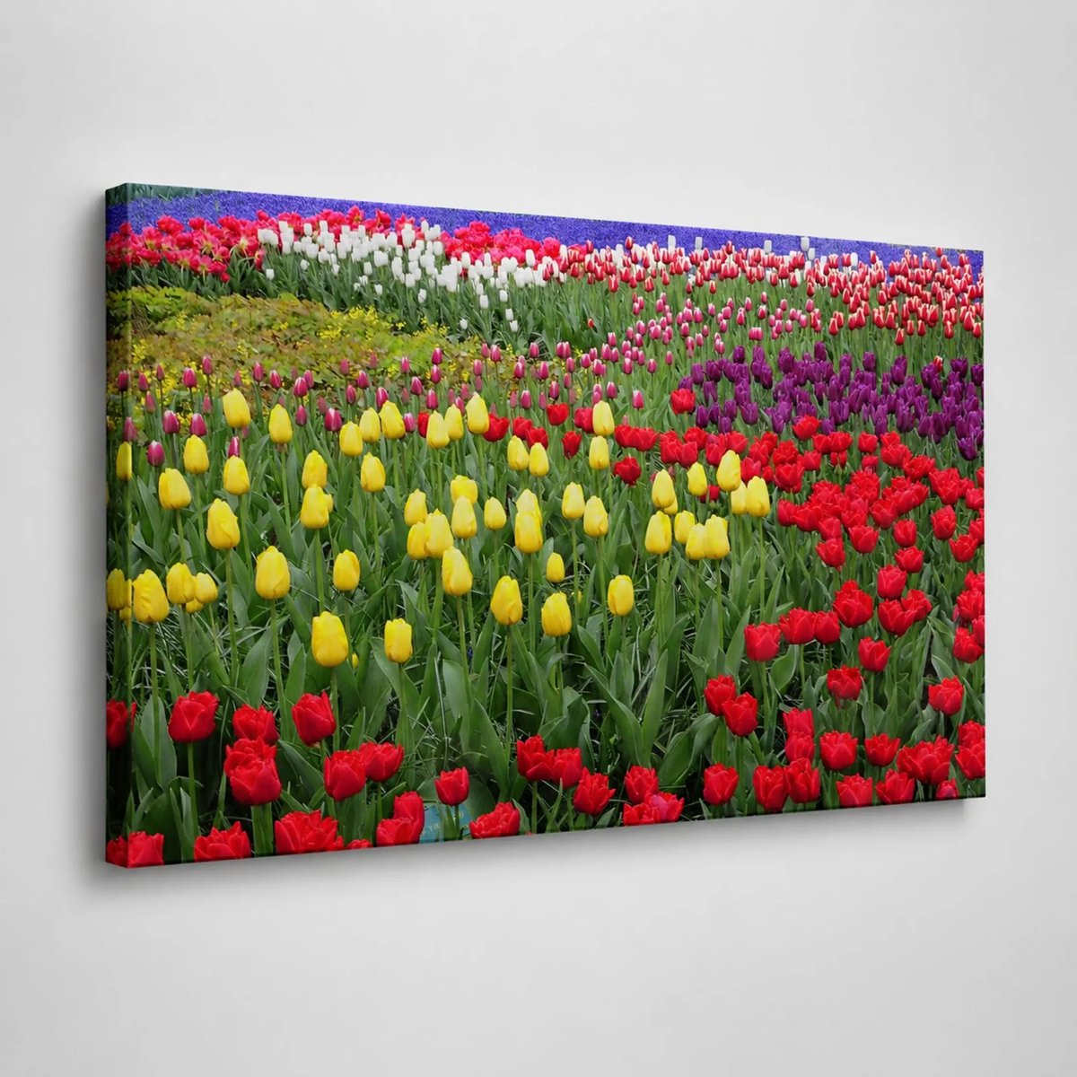 Canvas foto 80x120 cm - Wanddecoratie - Bloemenveld - Muurdecoratie woonkamer - Slaapkamer decoratie - Kamer accessoires - Foto op canvas