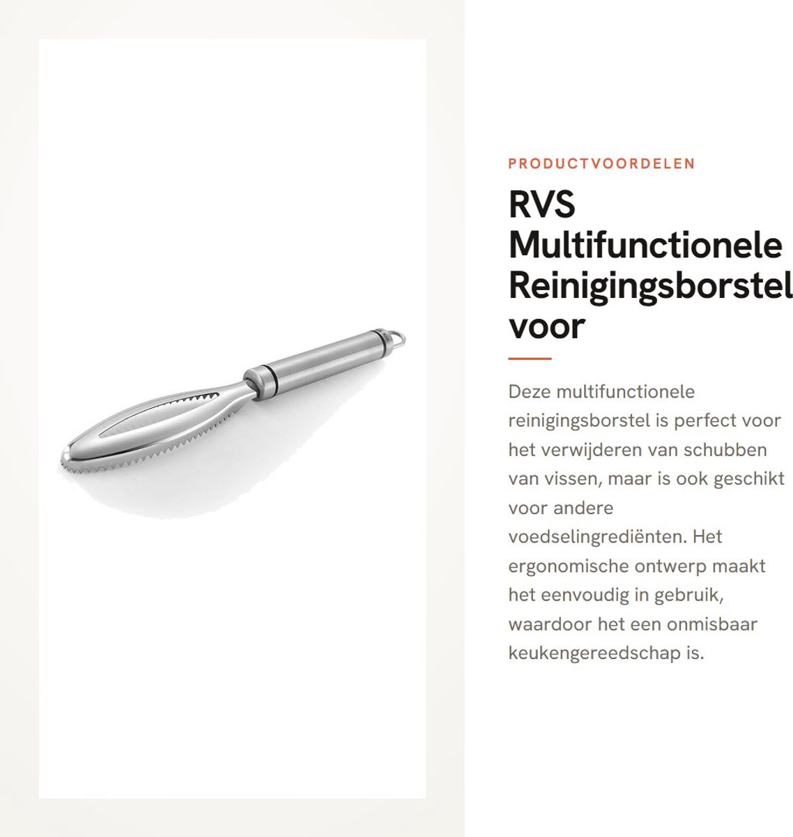 Dailygoods- Visschaalborstel RVS - Multifunctioneel Keukengereedschap - Ergonomische Schaalverwijderaar - Zaagtandontwerp - Efficiënte Reiniging - Minder Rommel in de Keuken