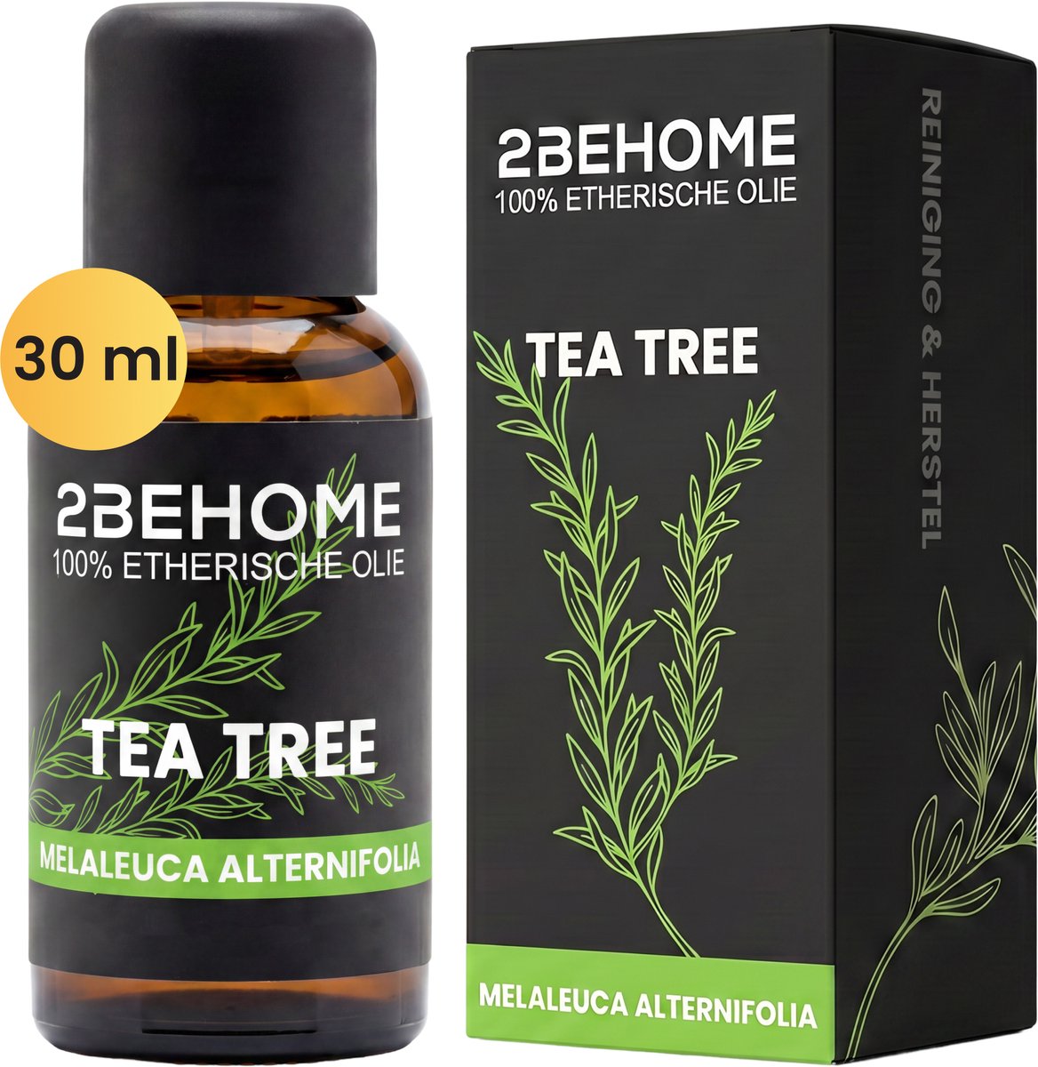2BEHOME Etherische Olie Tea Tree - 30 ML - 1 Stuk - Essentiële olie voor Aromatherapie - Essential oil - Geurolie voor Aromadiffuser