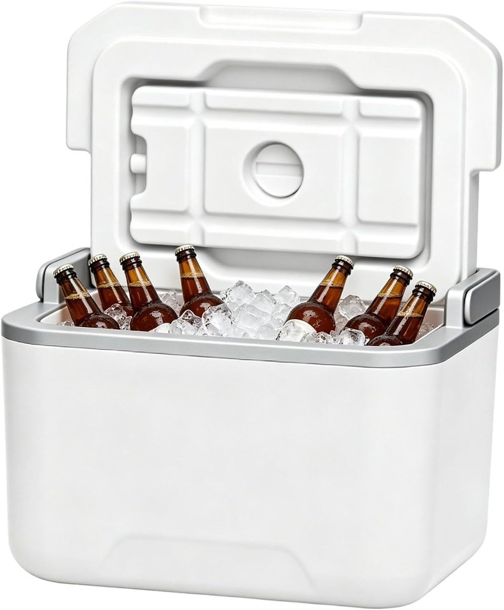 Kleine koelbox - Draagbare koeler - Outdoor avonturen - Constante koudeopslag - 5 liter inhoud - Metaalverf