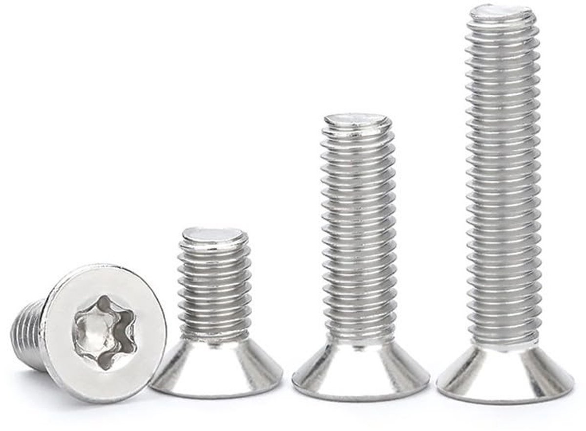 Torx Schroeven Set van 10 Stuks - M4 x 20mm RVS 304 Gegalvaniseerde Platte Kop Voldraad Schroeven voor Meubels en Klussen