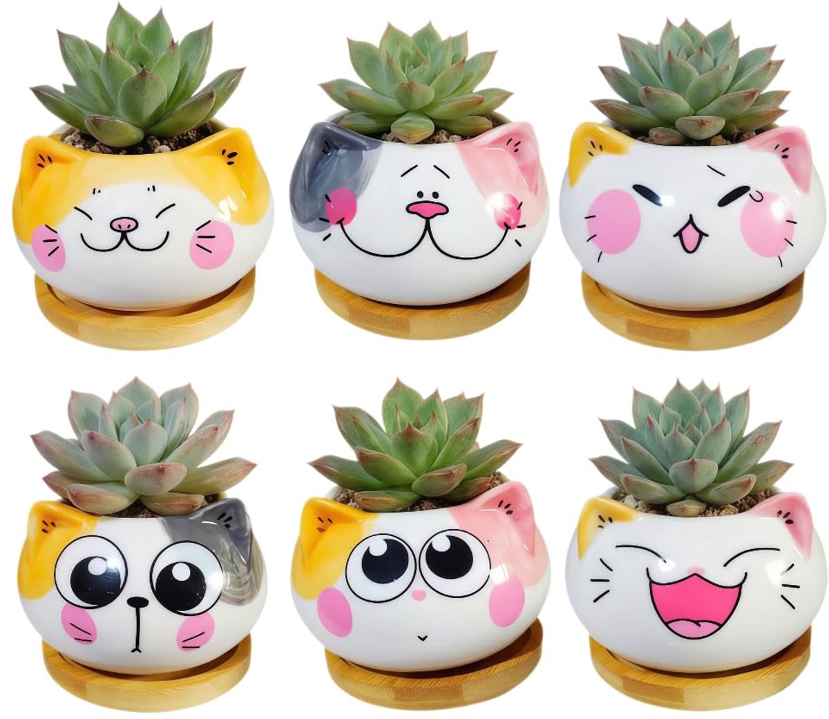 Bloempot Keramiek Kat - Set van 6 Cartoon Bloempotjes - 9 x 9 x 6 cm - Keramische Succulent Pot - Decoratieve Plantenpot voor Binnen - Zonder Bamboe Onderzetter en Zonder Plant