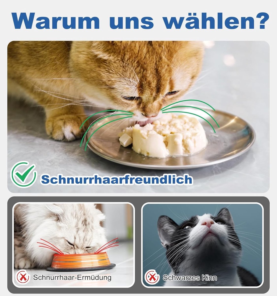 Hoge kwaliteit kattenbakvulling voor optimale geurcontrole en absorptie van vocht