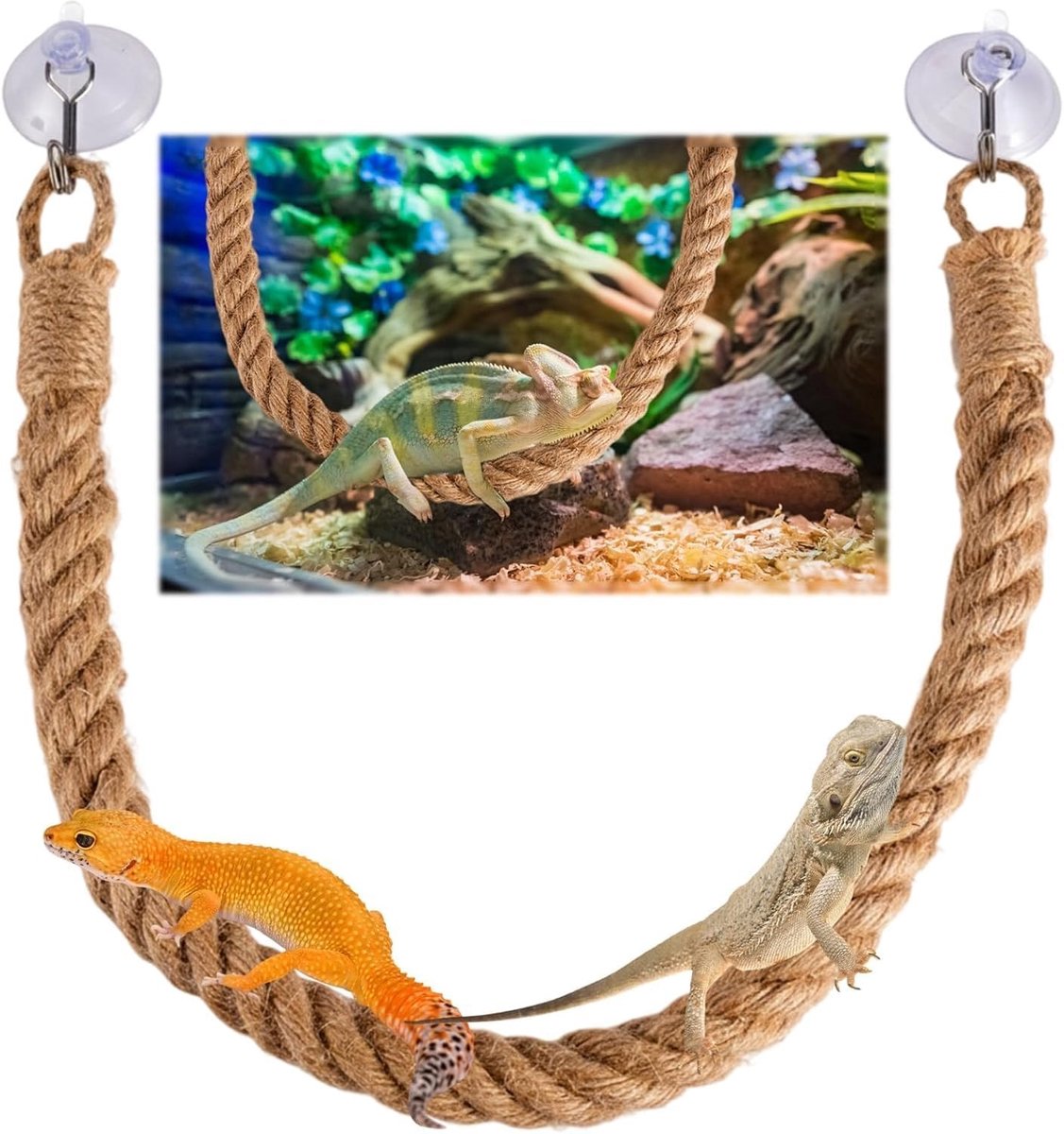 Klimtouw voor Reptielen met Haken - Speelgoed en Accessoires voor Kuifgekko's, Hagedissen en Slangen in Terrarium