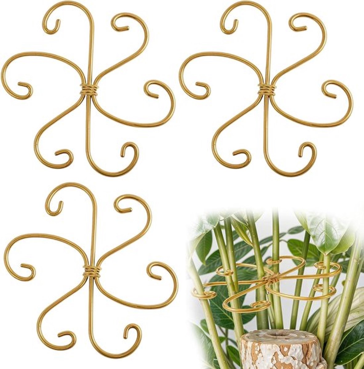 Plant Stam Stabilisator - 3 STKS | Voor Monstera Planten en Klimmers