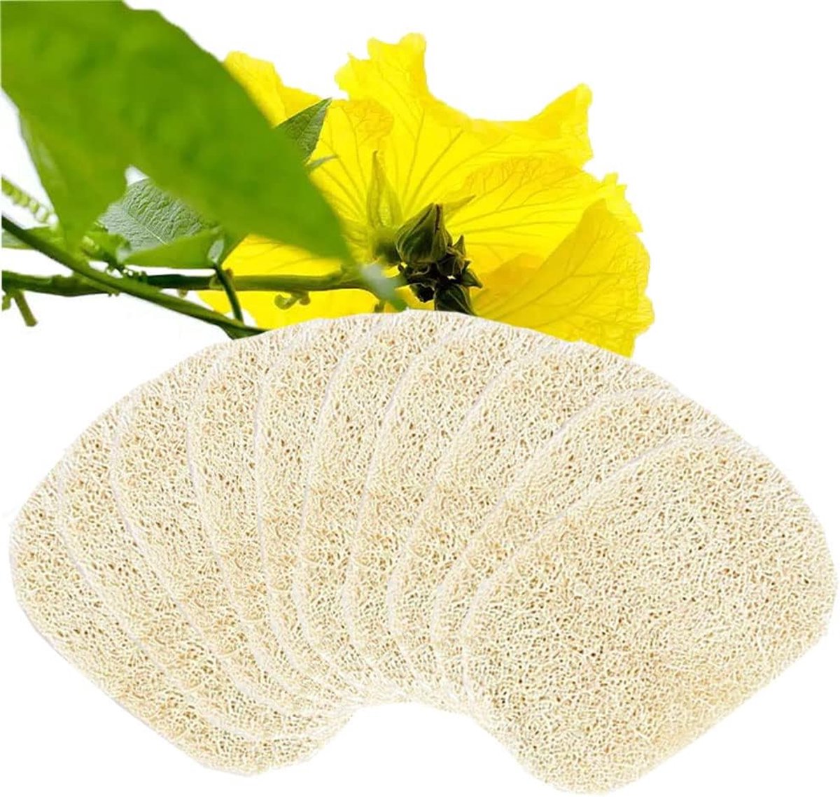 10 stuks natuurlijke loofah-spons, 8 x 13 cm, loofah-spons, zeepbakje, accessoires voor douche/badkamer/keuken/werkblad, beige