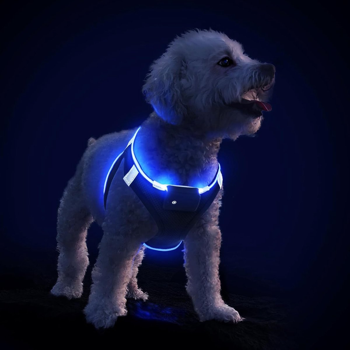 hondenharnas, oplaadbaar led-hondenharnas voor puppy's en kleine tot middelgrote honden, knipperende glow in the dark hondenharnas, waterdicht voor nachtwandelen, reflecterend hondenharnas