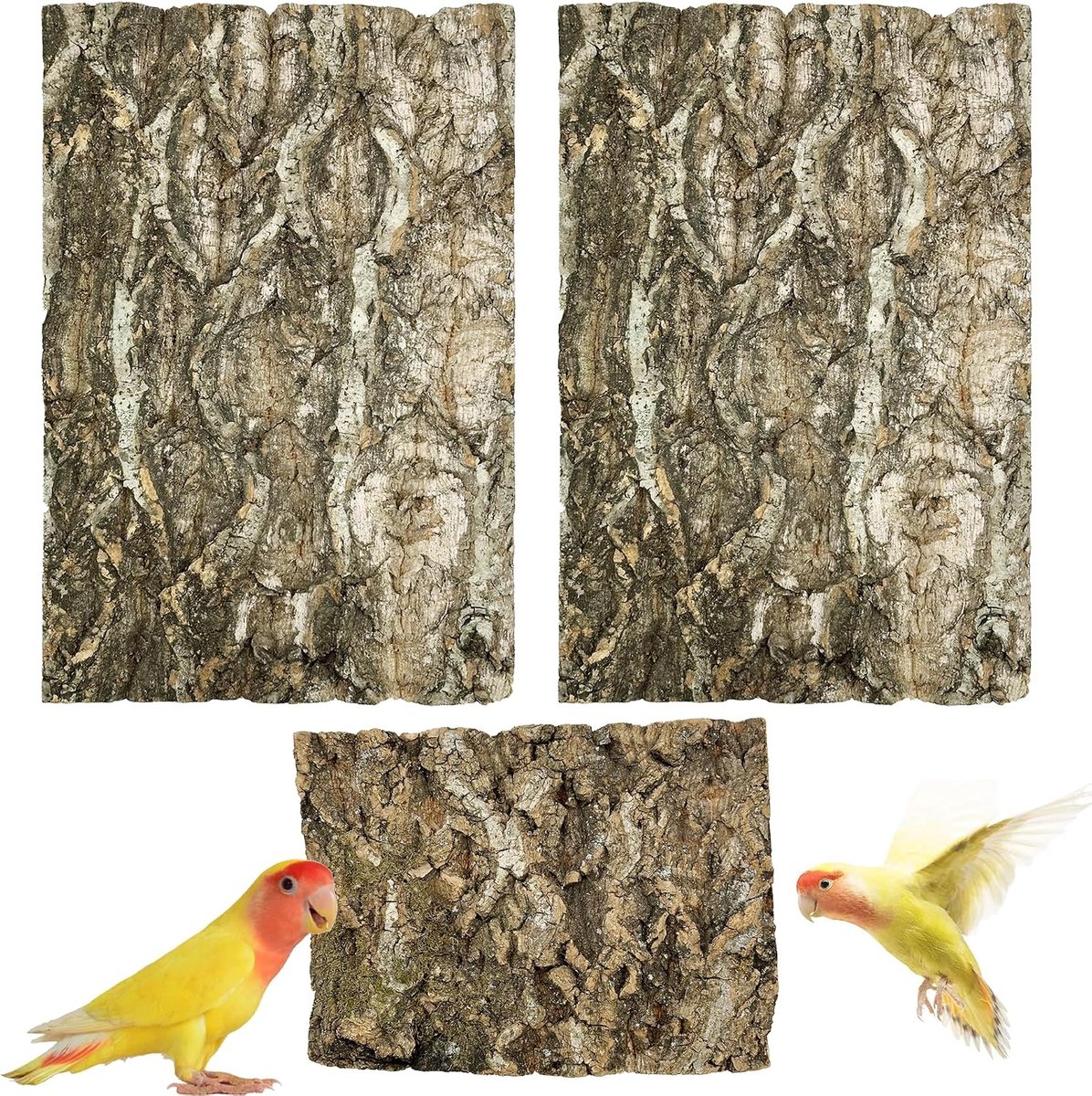 Boomschors voor terrarium, achtergrondplaten van kurkschors voor terrarium, wanddecoratie, achtergrond, verstopplaats, boomschors, aquarium, decoratie (3 stuks, 20 x 30 cm)