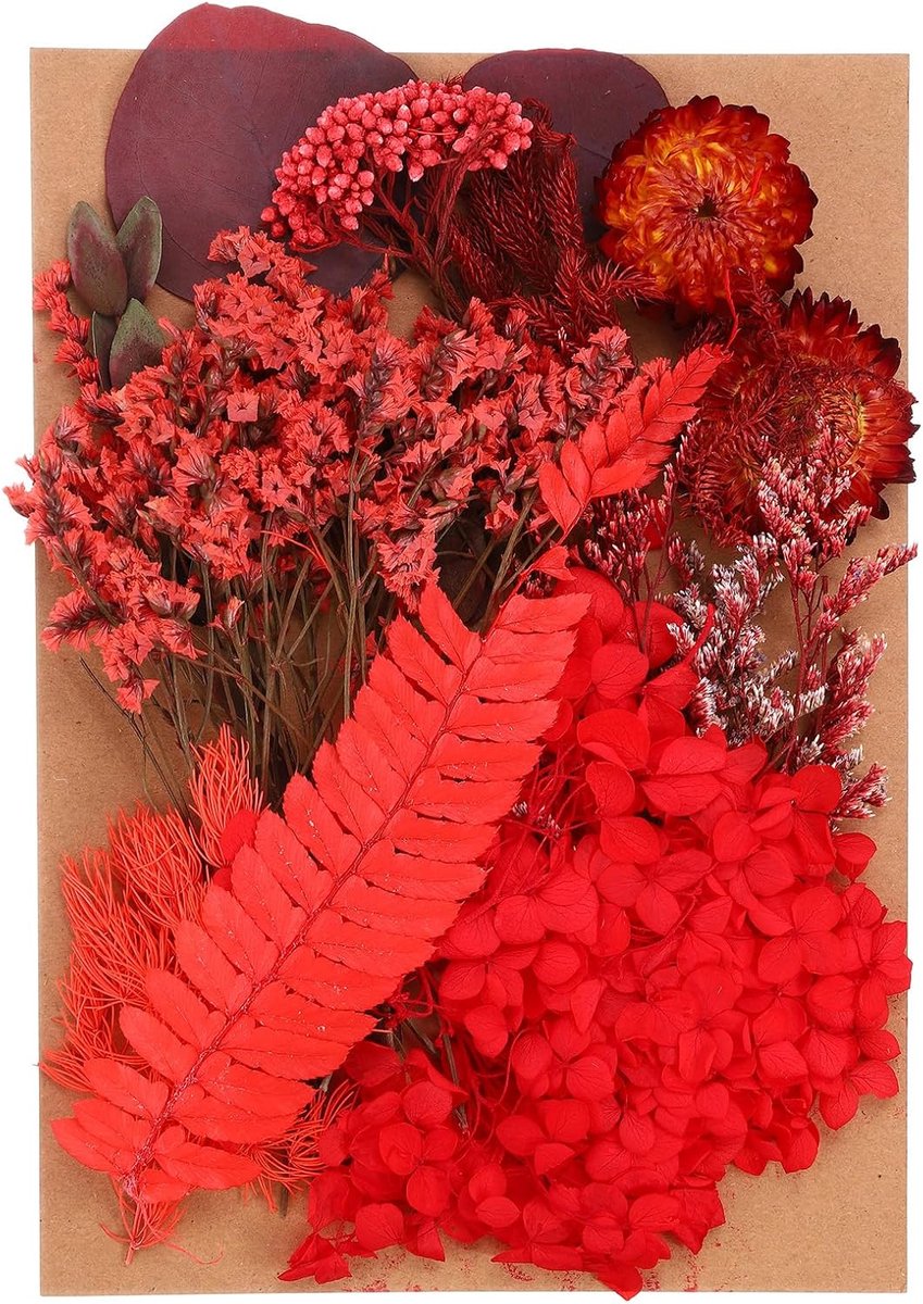 Gedroogde bloemen, meerdere kleuren echte gedroogde bloemen geperst voor handwerk, hars, kaarsen, scrapbooking, rode stijl