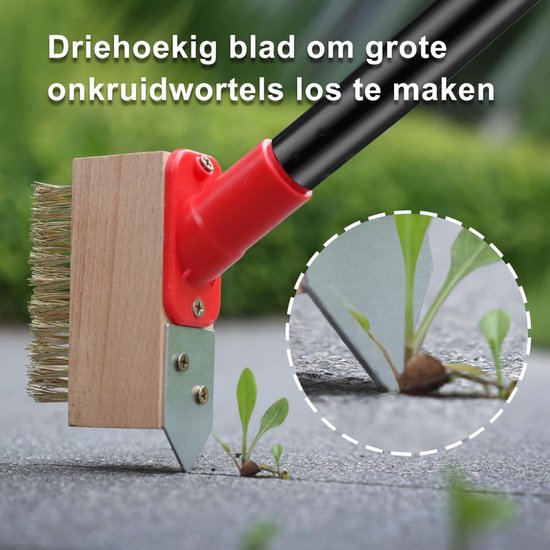 Lìon® Onkruidborstel - 3 Borstels - Borstel en Bladschraper - Onkruidverwijderborstel - Zwart/Rood - 12cm x 4cm x 135cm van Lion — afbeelding 3