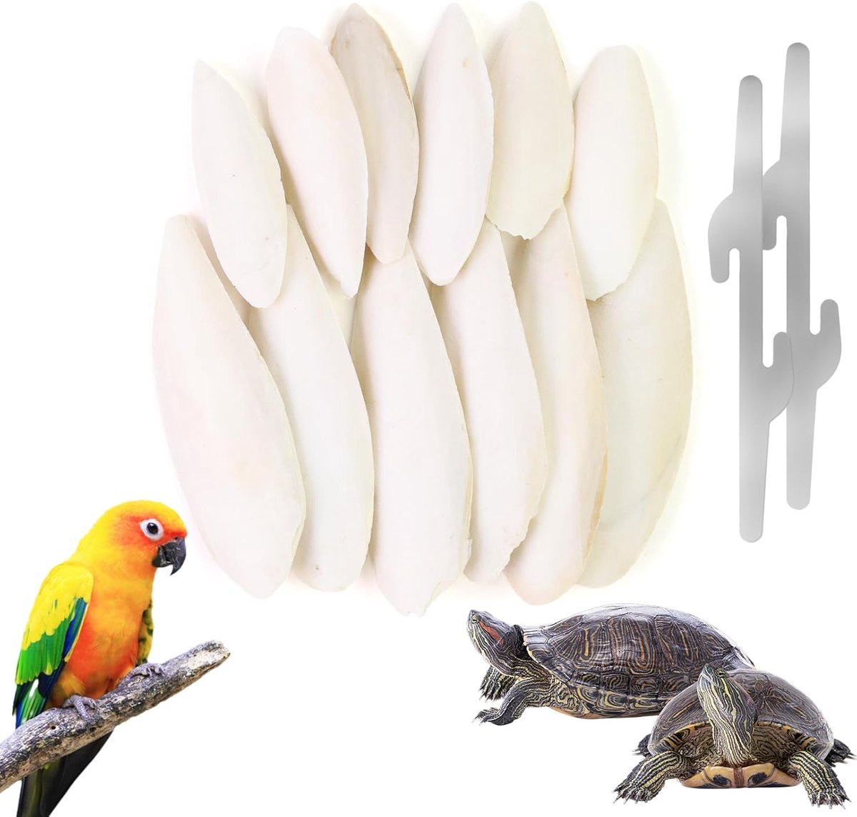 12 stuks sepiaschaaltjes, 7-9 cm/11-13 cm sepiaschaal voor vogels, geschikt voor schildpadden, slakken, met 2 metalen klemmen, inktvisbotten voor vogelkooien, aanvulling van calcium en mineralen