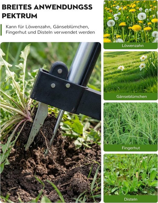 Dailygoods- Onkruidjager met lange steel - Onkruidverwijderaar - Onkruidsteker - Roestvrij staal - 4 klauwen - 110 cm, breed voetpedaal van Dailygoods — afbeelding 2