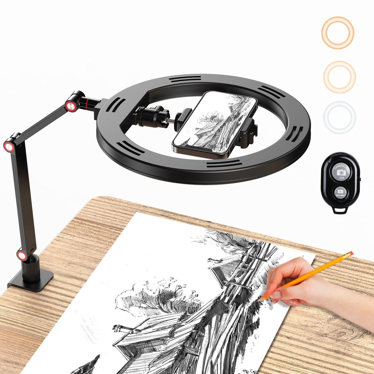 Dailygoods- Ringlicht 10 Inch - Ringlicht met Statief - 3 Kleurmodi - 10 Helderheidsniveaus - Antislip 360° Instelling - Robuust en Duurzaam - Lichtstatief