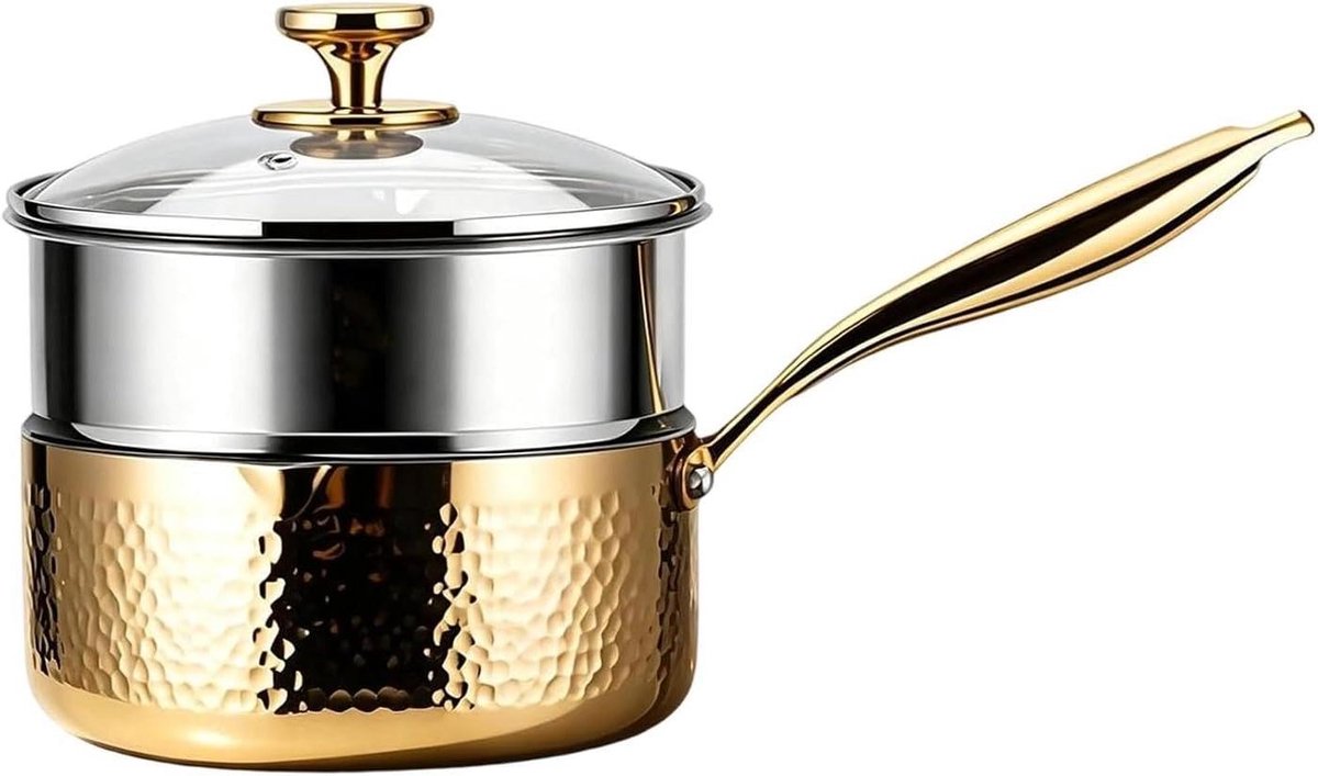 Roestvrijstalen Steelpan - Kookpot met Deksel - Gezond Koken - Dubbele Schenktuit - 22 cm Breed - Goud