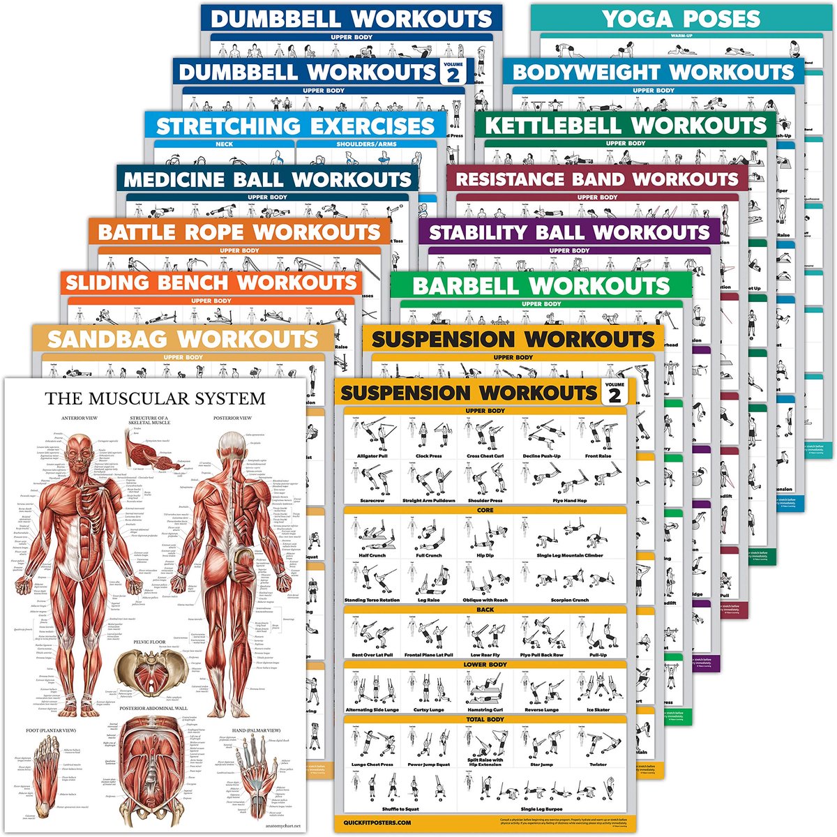 SnelShoppen - 16 Pack Oefenposters Set: Dumbbell, Kettlebell, Weerstandsbanden, Medische Bal, Battle Rope, Stretchen, Bodyweight, Barbell, Yoga, Fitne