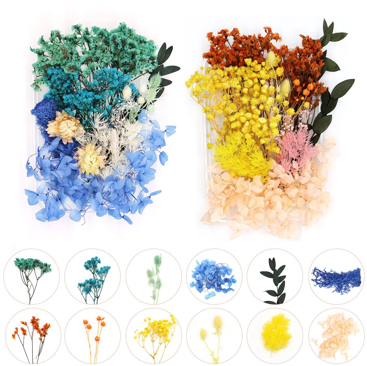 Dailygoods - 2 Dozen Gedroogde Bloemen, Gemengde Natuurlijke Bloemen voor DIY en Decoratie