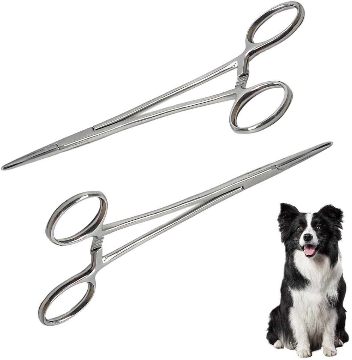 Dailygoods - Set van 2 Piercingtangen - Multifunctionele Visklemmen van Roestvrij Staal 12,5 cm