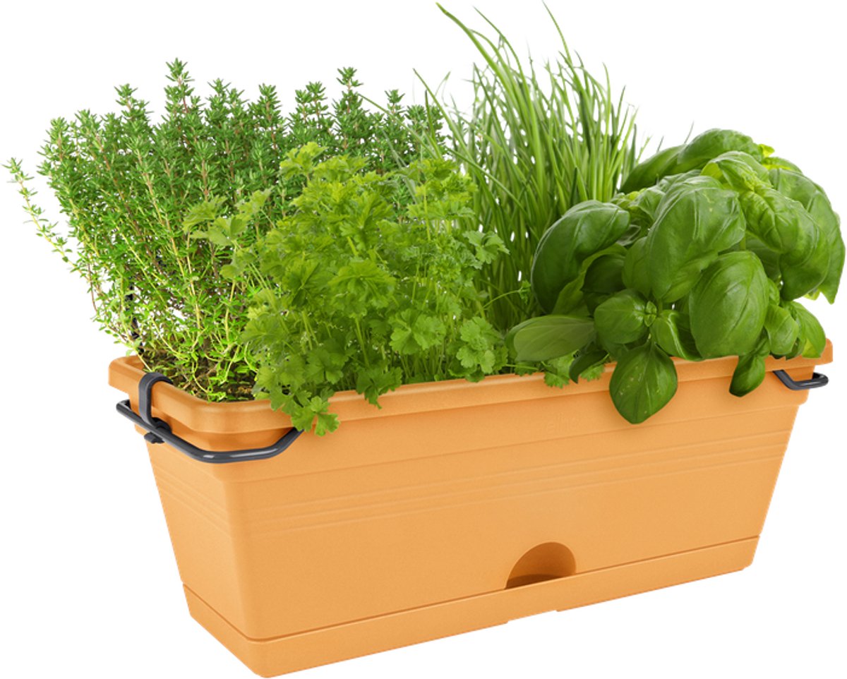 Elho Green Basics Balcony Planter Allin1 30 - Outdoor Balcony Planter