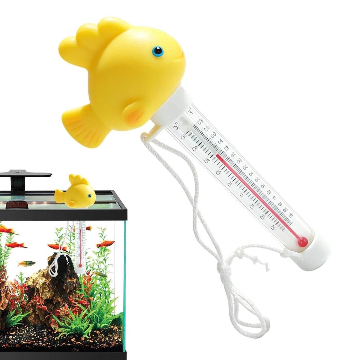 Zwembad Thermometer - Watertemperatuur Meter - Water Temperatuur Meten - Drijvend Cartoon Ontwerp - 19 Centimeters - Veel vis