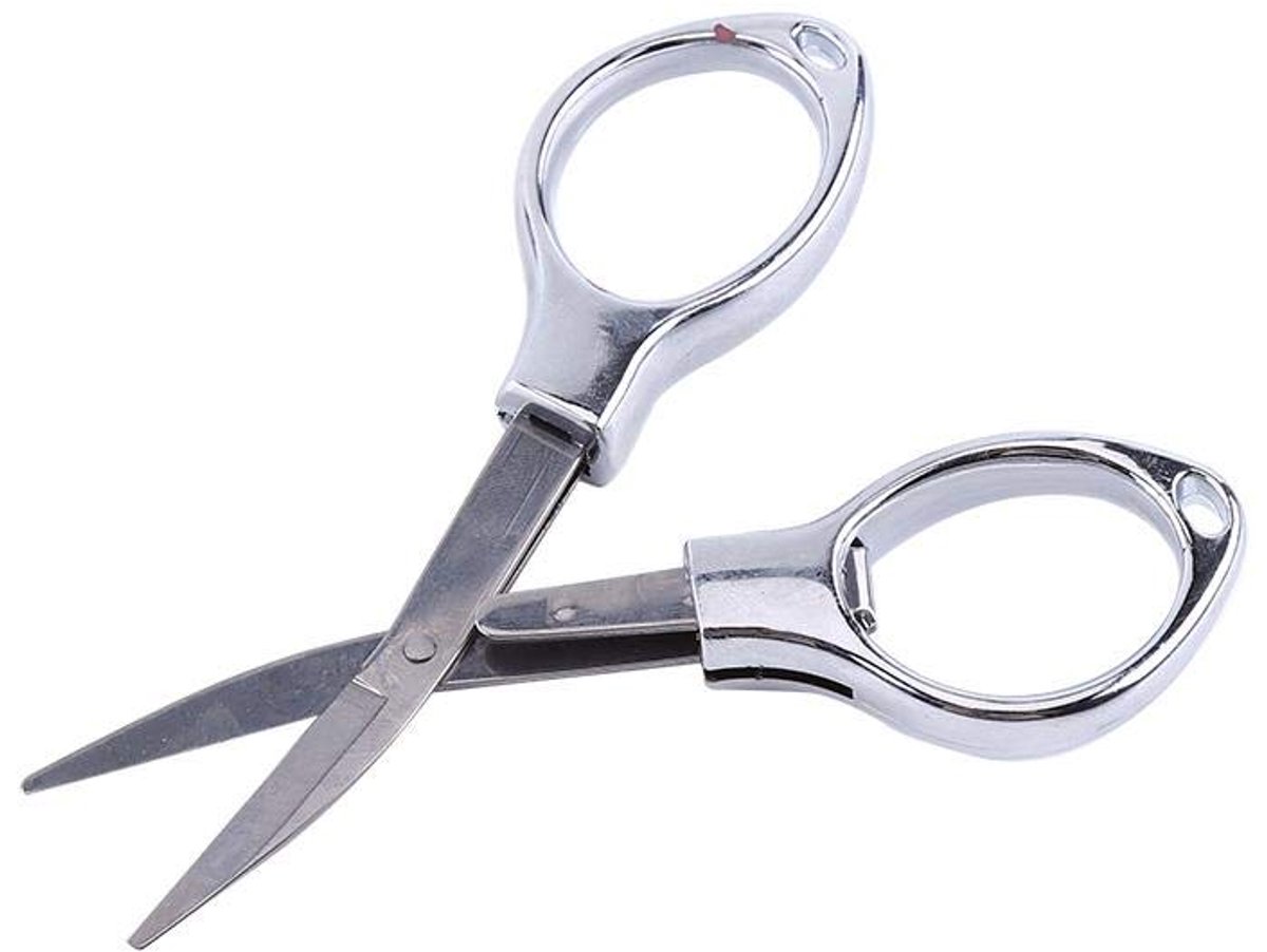 Dailygoods - Draagbare Mini Opvouwbare Schaar - Roestvrijstaal Vissenschaar