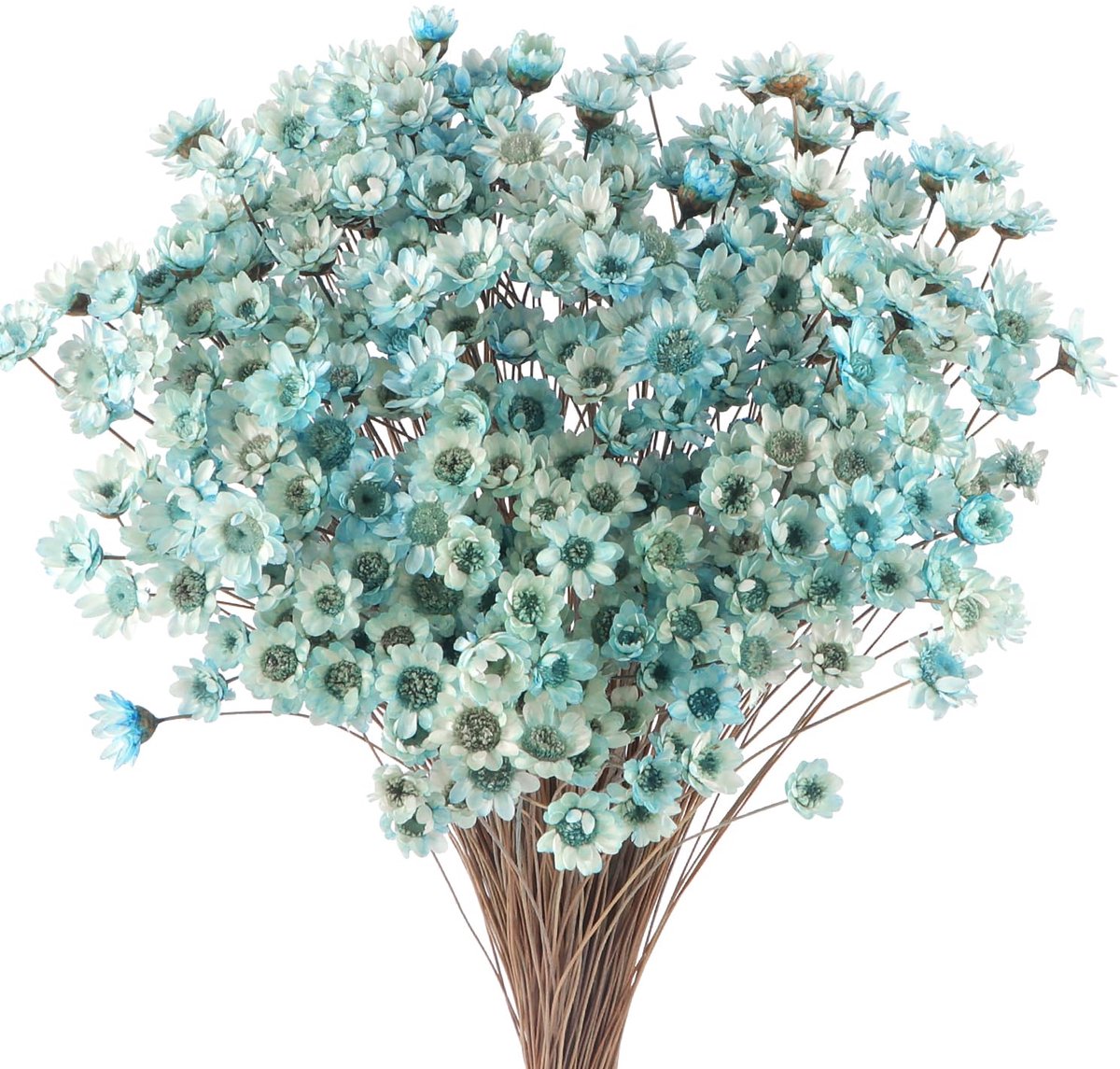 SnelShoppen - 300 stuks gedroogde ster bloemen blauw - Decoratie voor feest, tuin, kinderen, DIY-projecten, ambachten, creatief, natuurlijk materiaal