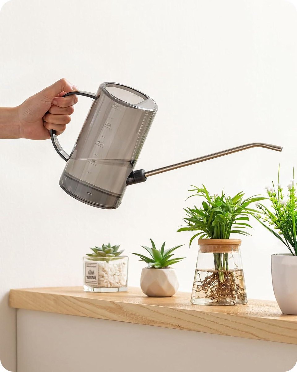 Gieter - Waterkan - Planten Water Geven - Roestvrijstalen Tuit - 1 Liter - Transparant