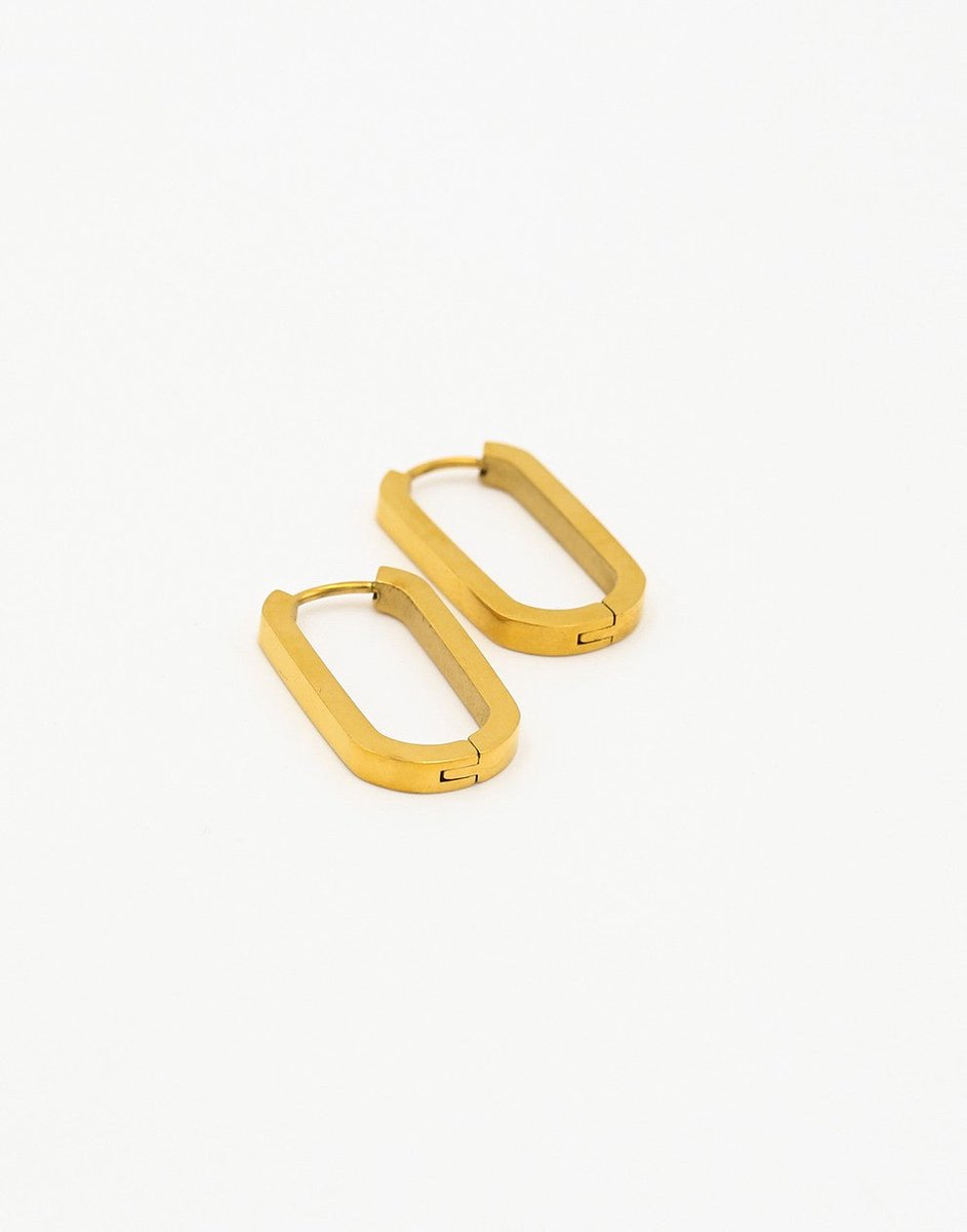 Rechthoekige Oorhangers 2,5cm Goudkleurig - 2cm - Stainless Steel - Glow Adora