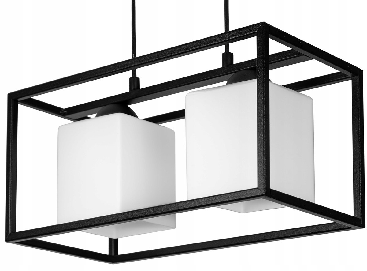 Moderne Loft Plafondlamp Zwart met Witte Kappen, 2xE27