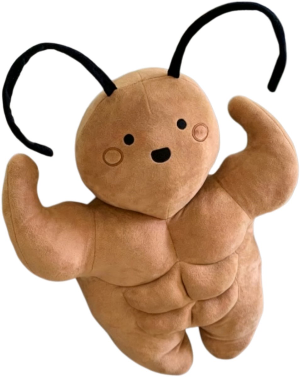 casalora—Muscle kakkerlak knuffel – gespierde bruine bug – zacht pluche – grappig ontwerp – decoratief kussen – uniek cadeau – 4everstories – [55cm]