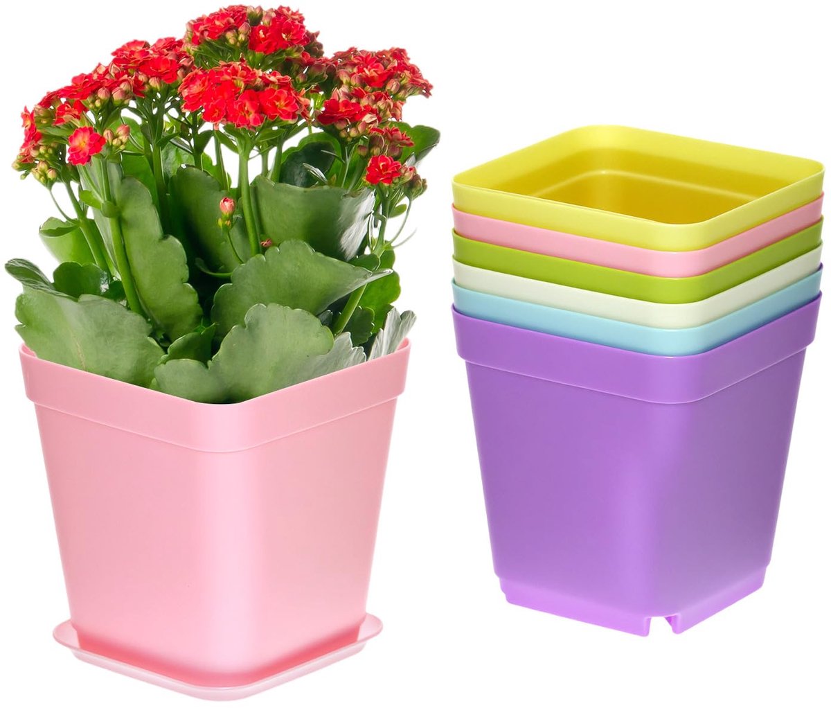 24-delige Kweekpotten Set - Kleurrijke Vierkante Plantenpotjes met Schotels - 7 cm Zaai- en Groeipotjes voor Vetplanten, Cactussen, Kruiden & Groenten - Herbruikbare Plantenbakjes voor Tuin, Balkon