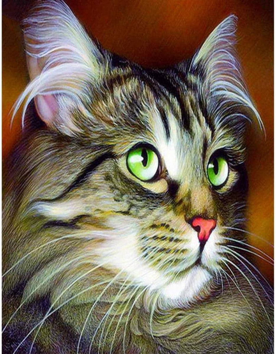 5D Diamond schilderij schattig dier kat Diamond borduurwerk mozaïek Home decoratie patroon DIY handgemaakte vakantie cadeau Frameless-40X50CM
