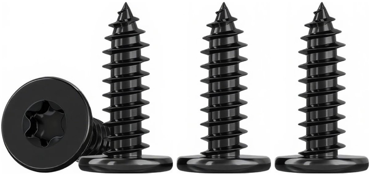 SolidKeus - Set van 50 RVS Houtschroeven M5 x 16mm Zwart