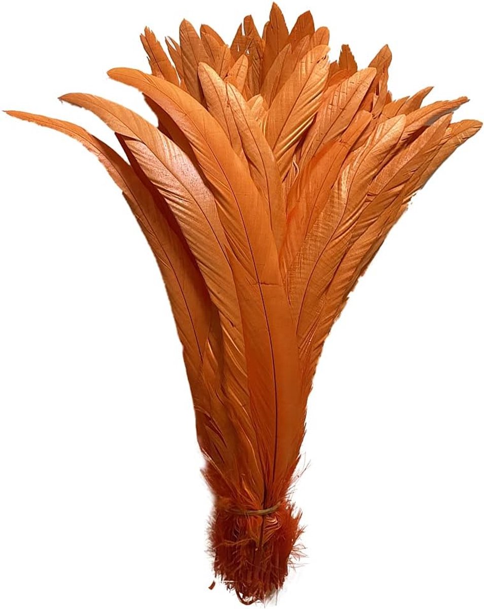 50 stuks natuur haan coque staarten veren 12-14 inch voor podiumoptredens en kostuumdecoratie (oranje)