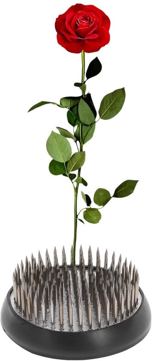 Bloemenkikker - Roestvrij Staal - Kikker met Pen 60 mm - Bloemstukken - Tafelopzetstukken - Duurzaam Ontwerp - Bloemschikking