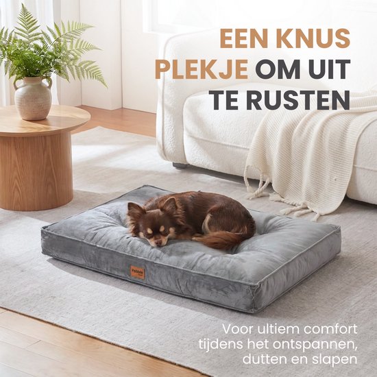 Bruine chihuahua rust op een grijs, fluwelen hondenkussen in een woonkamer. Tekst 'EEN KNUS PLEKJE OM UIT TE RUSTEN'.