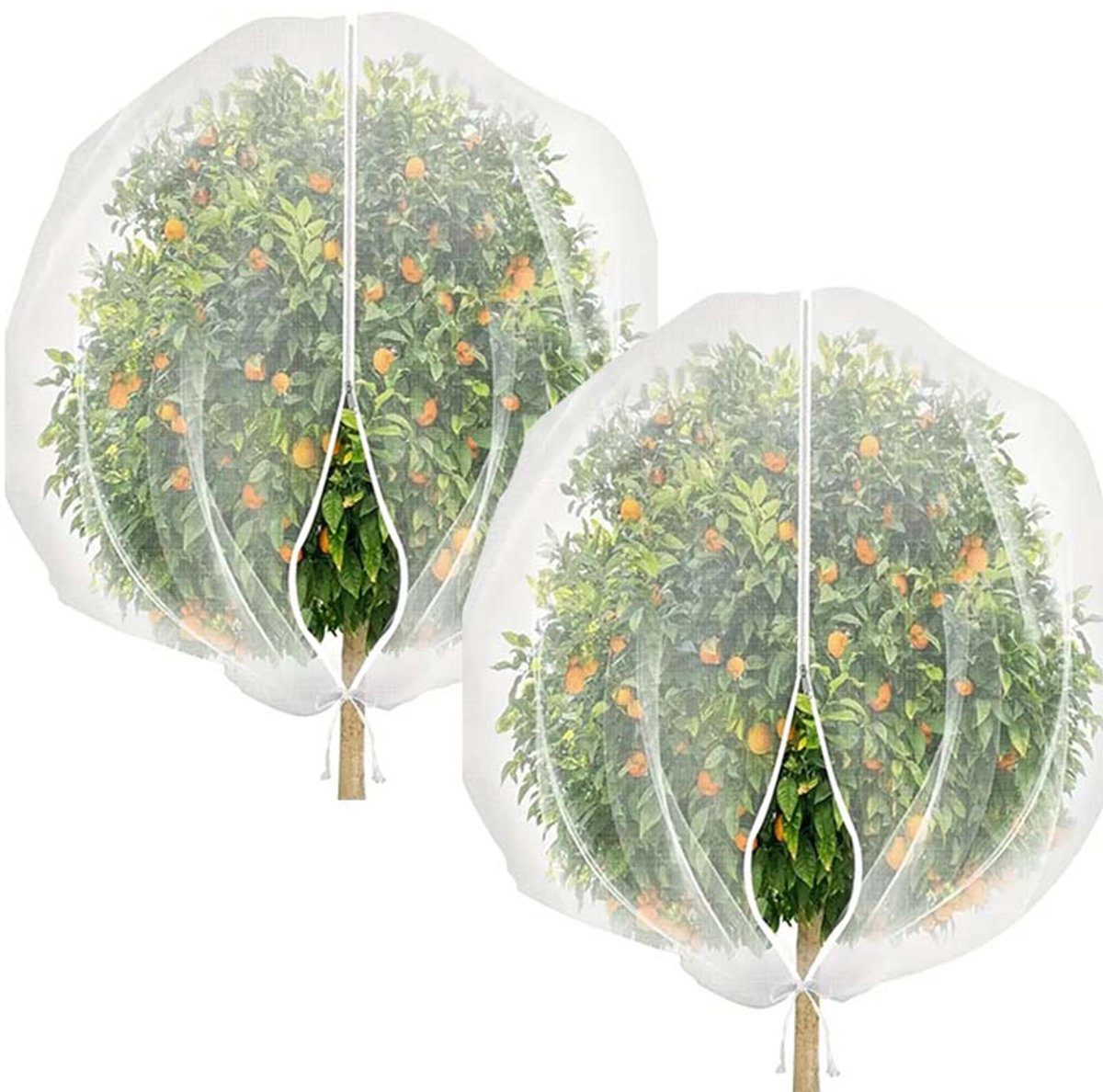 2 Stuks Fruitboom Beschermhoes – 1,2 × 1,8 M – Met Trekkoord En Rits – Vogelwerend Net Voor Tuinplanten