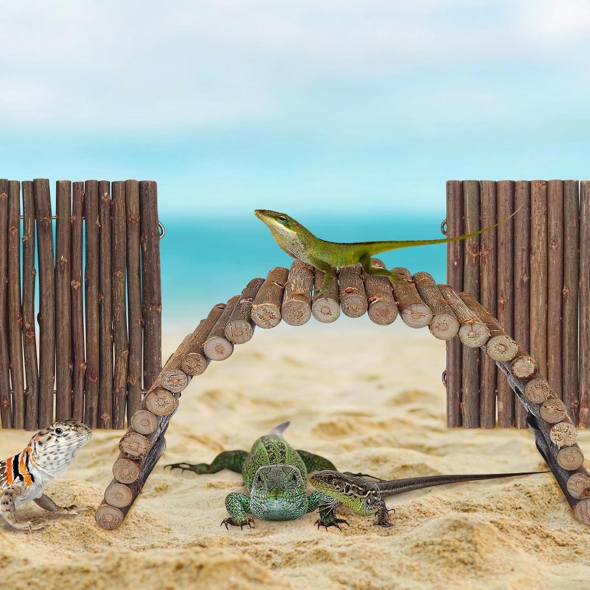 3 Stuks Houten hangbruggen voor hamsters, Houten brug voor knaagdieren, Flexibele tunnelbrug voor knaagdieren, Flexibeled natuur, Buigbaar klimtrap, Kooiaccessoire voor hamsters & muizen