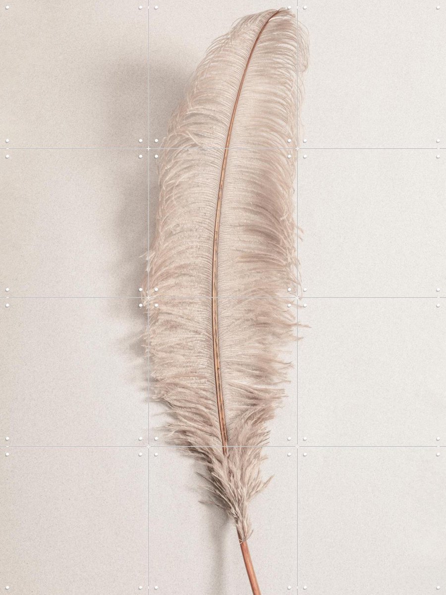 IXXI Feather, 1x Studio II & Various - 60 x 80 cm - Gratis ophangtool - Grote wanddecoratie en posters - Decoratieve kunsten, Art Deco, Modern