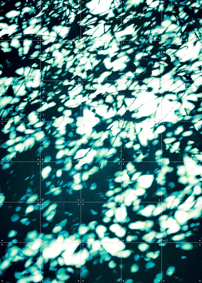 IXXI Wall Shadows Teal, Angelo Cerantola - 100 x 140 cm - Gratis ophangtool - Grote wanddecoratie en posters - Modern, Abstract, Surrealisme, Digitale