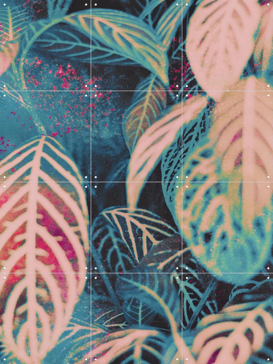 IXXI Seek, Amber Lauder - 60 x 80 cm - Gratis ophangtool - Grote wanddecoratie en posters - Geometrische Kunst, Speels, Surrealisme, Modern