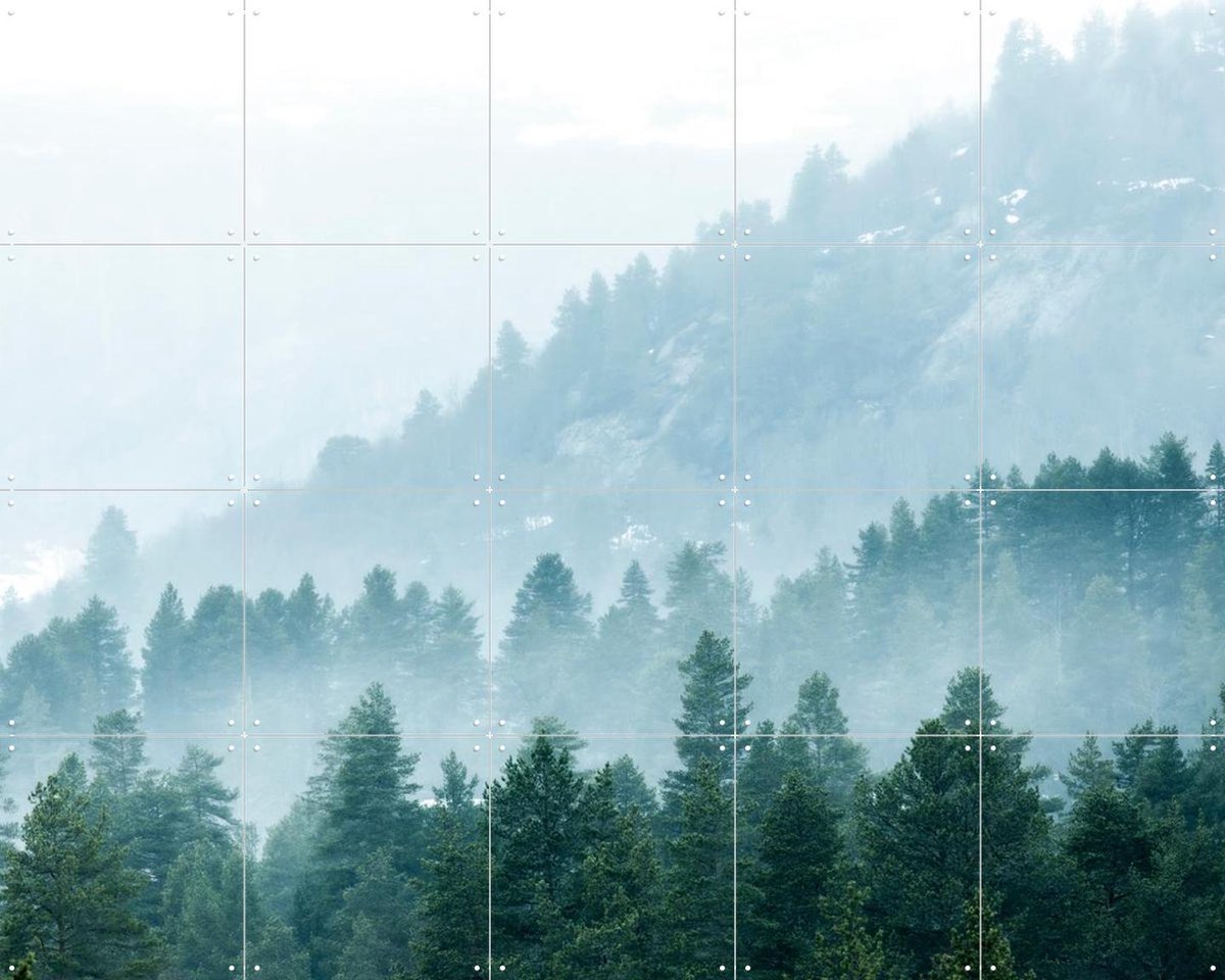 IXXI Foggy Evergreen Forest In The Mountains 8000 Px, Claire Droppert - 100 x 80 cm - Gratis ophangtool - Grote wanddecoratie en posters - Realisme