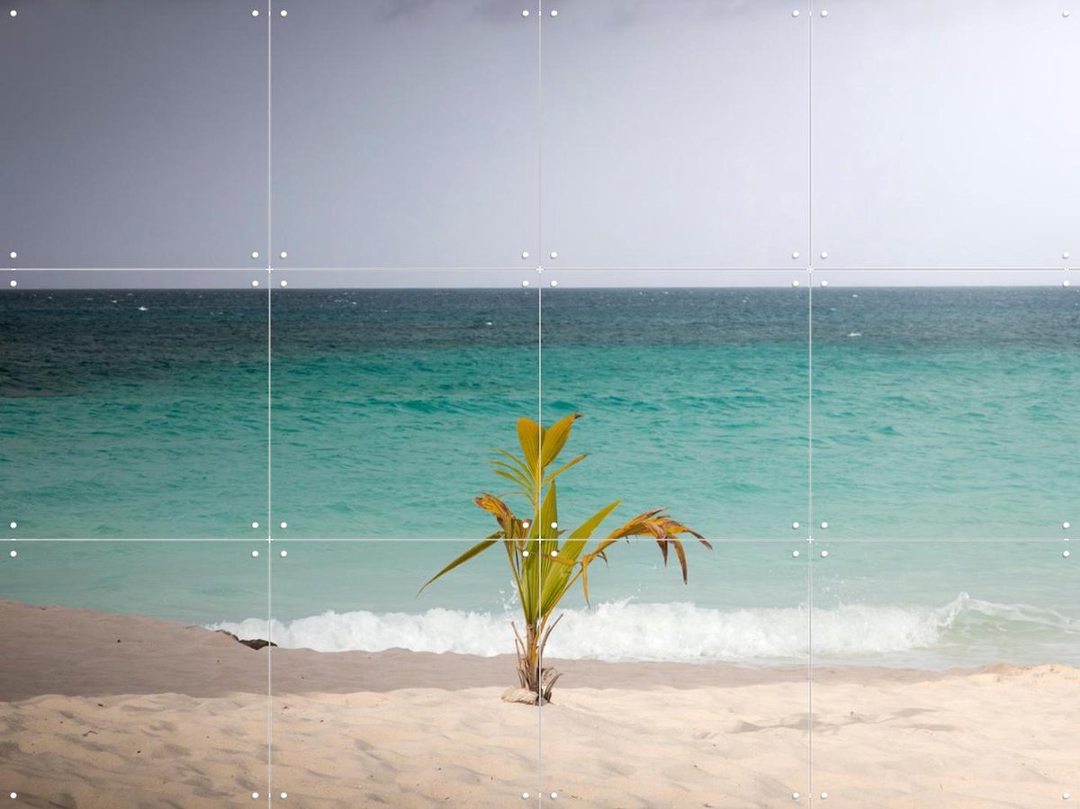 IXXI Lonely Palm On Quiet Tropical Beach, Claire Droppert - 80 x 60 cm - Gratis ophangtool - Grote wanddecoratie en posters - Fotografie, Strandhuis