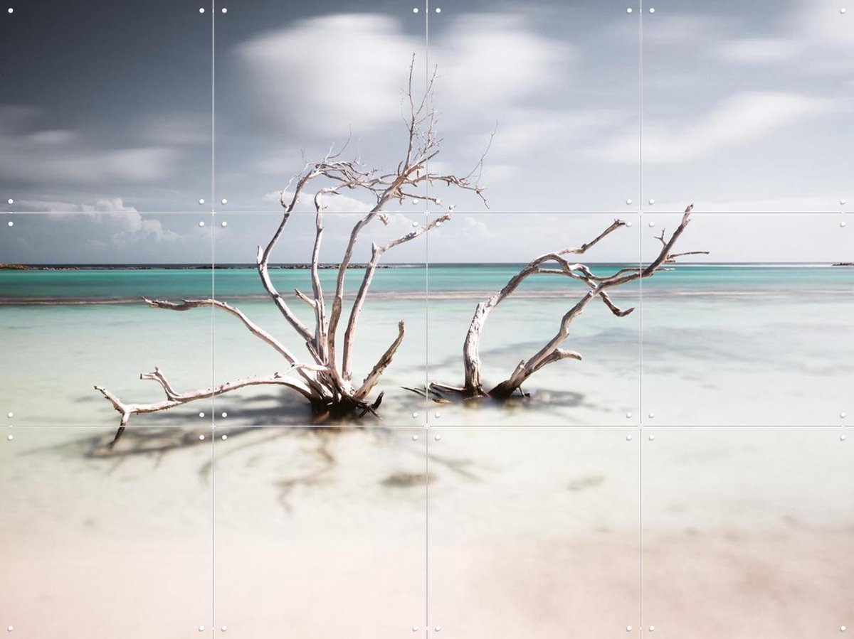 IXXI Tropical Silence The Hatstand, Claire Droppert - 80 x 60 cm - Gratis ophangtool - Grote wanddecoratie en posters - Realisme, Fotografie