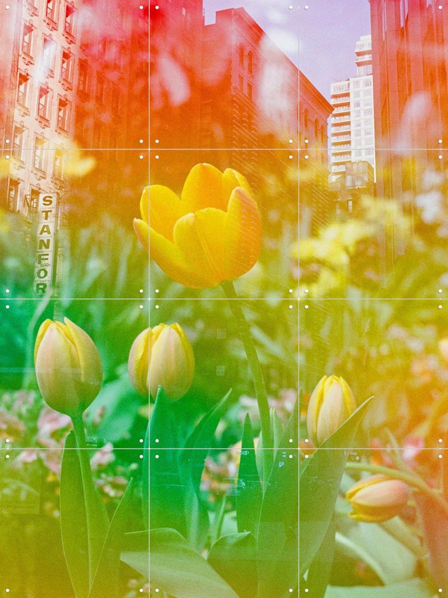 IXXI Center of the Universe, Amber Lauder - 60 x 80 cm - Gratis ophangtool - Grote wanddecoratie en posters - Kleurrijk, Gemengde Technieken, Gang