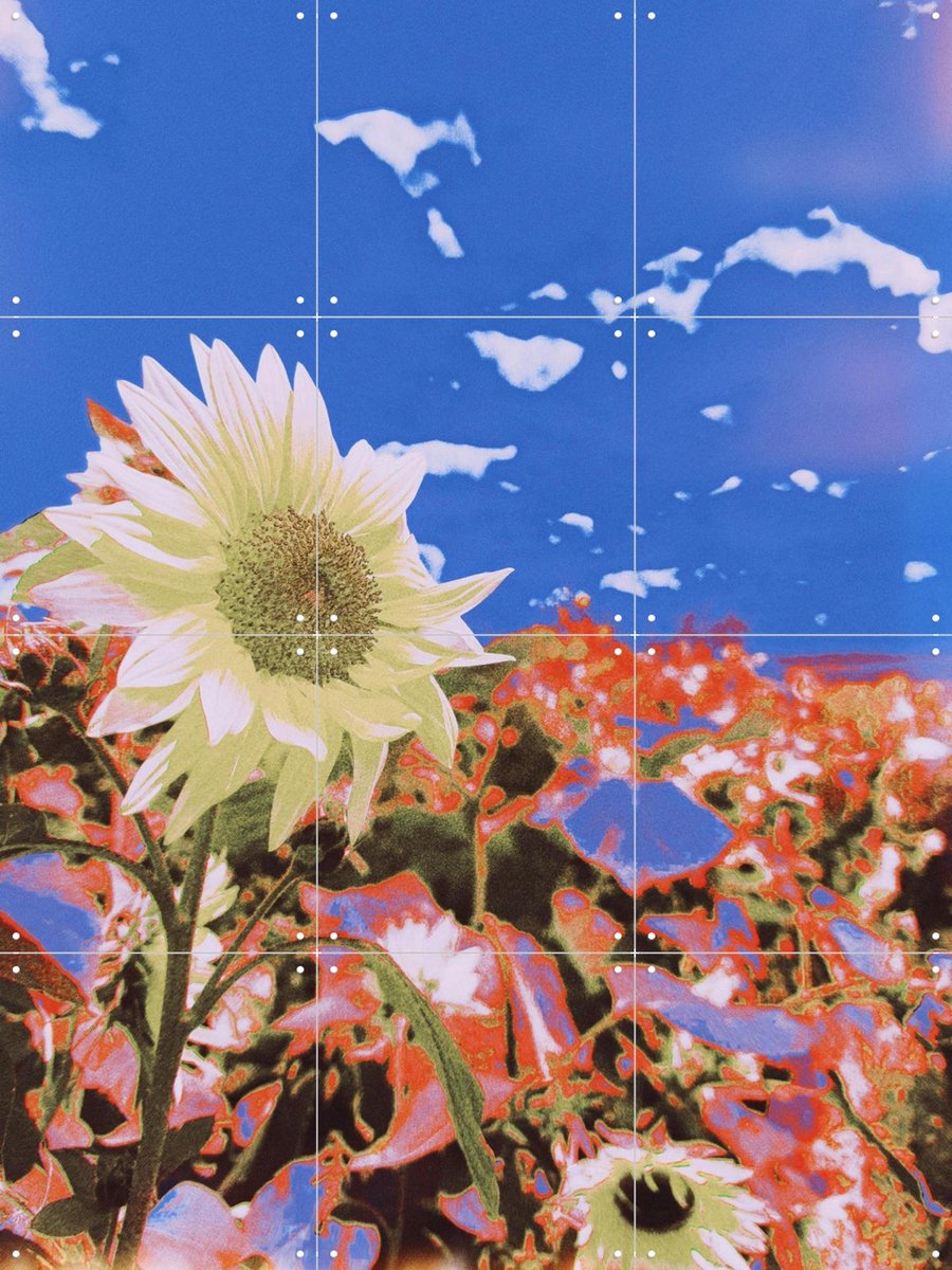 IXXI In the Breeze, Amber Lauder - 60 x 80 cm - Gratis ophangtool - Grote wanddecoratie en posters - Gemengde Technieken, Woonkamer, Gang, Trap
