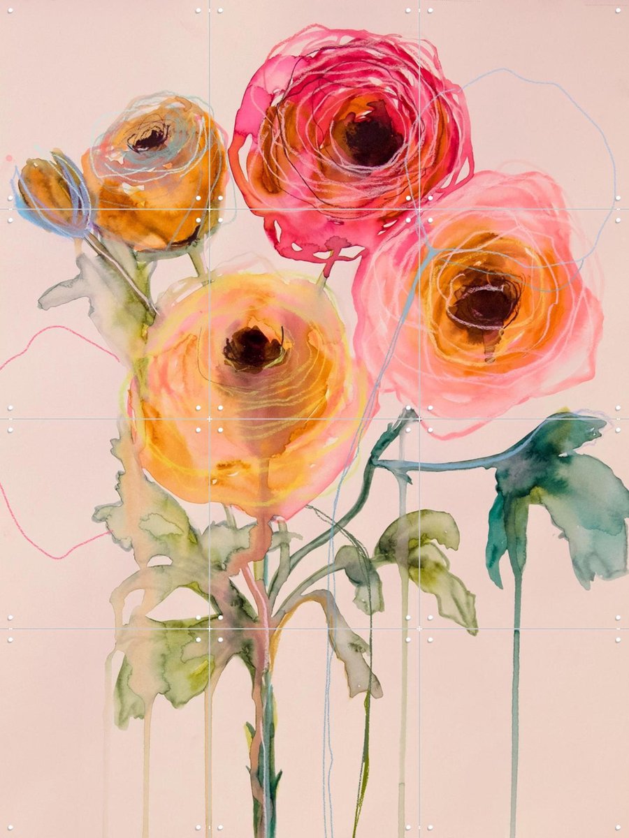 IXXI Ranunculus 06, Leigh Viner - 60 x 80 cm - Gratis ophangtool - Grote wanddecoratie en posters - Aquarel, Kleurrijk, Schilderijen, Abstract