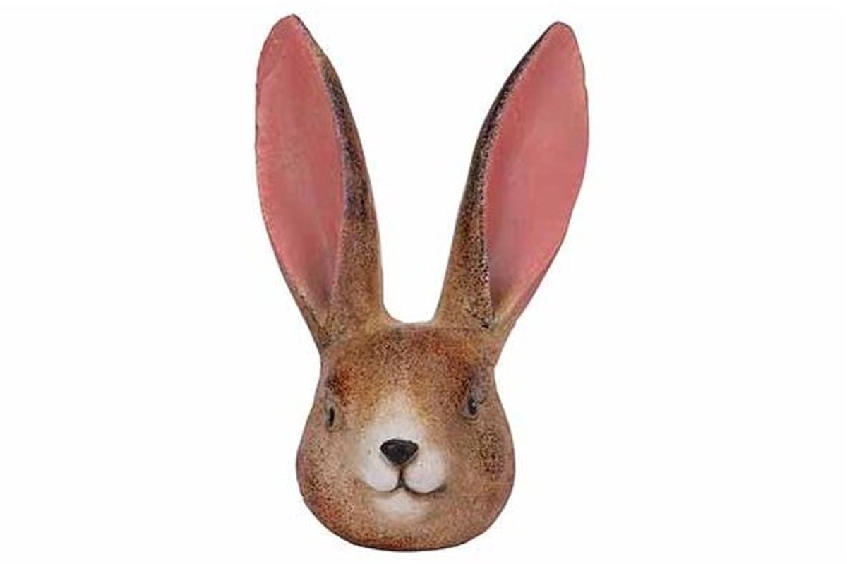 Hoofd Rabbit Bruin Langwerpig Dolomiet