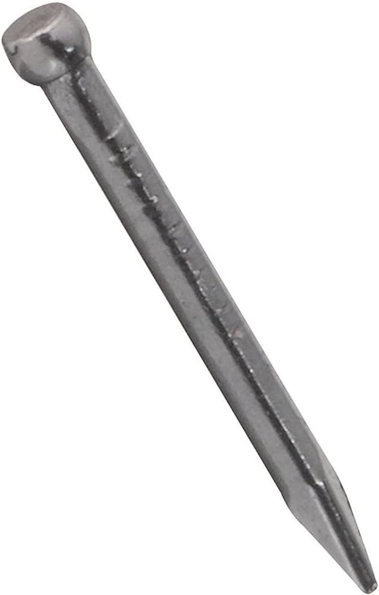 Draadnagels - Kleine spijkers - Klusjes Huis - WeatherGuard afwerking - 1.91 x 10.8 x 4.29 cm - Helder