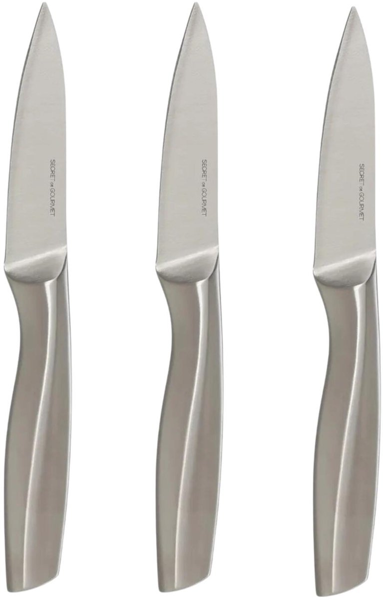 5Five Precision - Fruit en groente mes/Snijmes - 3x stuks - RVS - silver - 20 cm - keuken messen - luxe kwaliteit